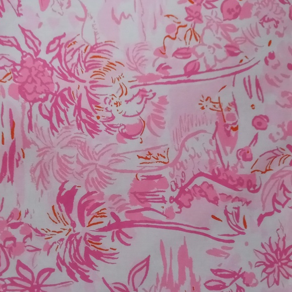 🔴SOLD🔴🆕️ 💞HTF Lilly Pulitzer💞 - Azora Cotton Midi Dress - Picture 4 of 16